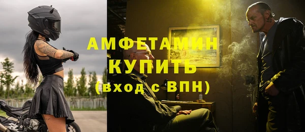 индика Заводоуковск