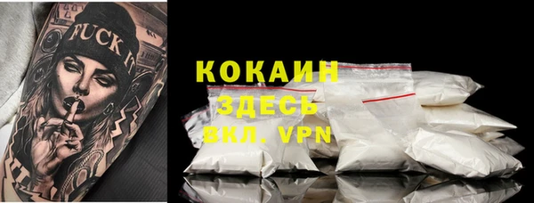 индика Заводоуковск