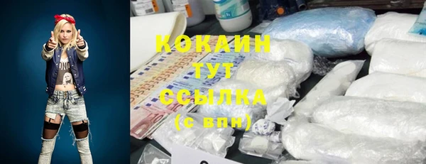 индика Заводоуковск