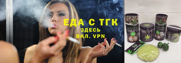 индика Заводоуковск