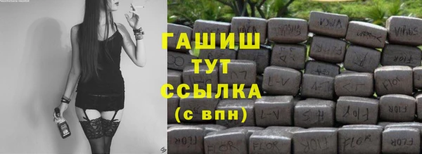 индика Заводоуковск