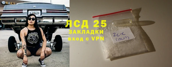 индика Заводоуковск