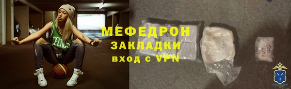 индика Заводоуковск