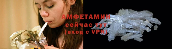 индика Заводоуковск