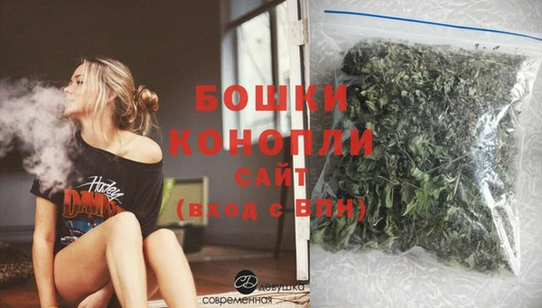 индика Заводоуковск