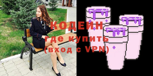 индика Заводоуковск