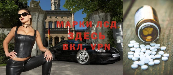 индика Заводоуковск
