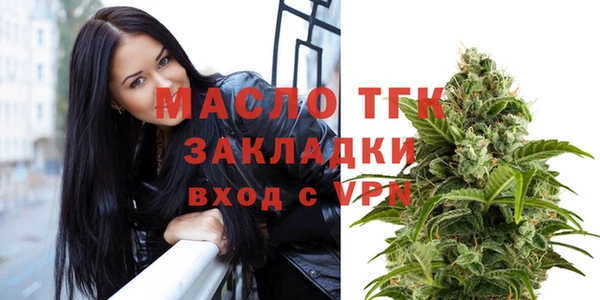 индика Заводоуковск