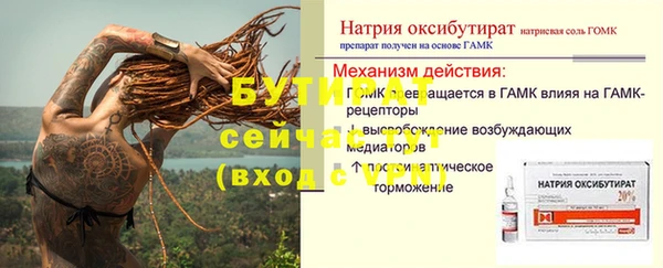 индика Заводоуковск