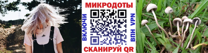 Псилоцибиновые грибы мицелий  Купить где  Верхнеуральск 